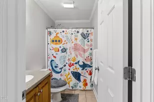 3870 Nelson Pond Dr, Franklinville, NC 27248 - Photo 27