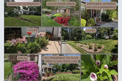 120 Meadowbrook Drive, Chapel Hill, NC 27514 - Photo 11