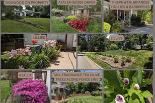 120 Meadowbrook Dr, Chapel Hill, NC 27514 - Photo 11