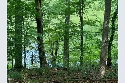 1105 Fontaine Road, Roxboro, NC 27574 - Photo 45