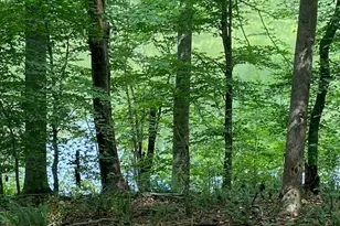 1105 Fontaine Rd, Roxboro, NC 27574 - Photo 45