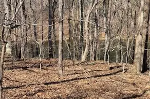 1105 Fontaine Rd, Roxboro, NC 27574 - Photo 59