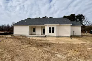 137 Huckleberry Bush Ln, Princeton, NC 27569 - Photo 3