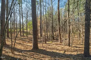 136 Orchard Park Dr, Cary, NC 27513 - Photo 31