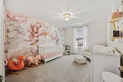 224 Stephens Timberline View, Clayton, NC 27520 - Photo 29