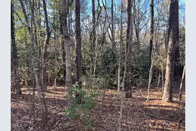 104 Santee Drive, Louisburg, NC 27549 - Photo 3