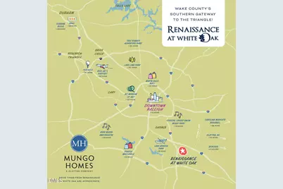 131 Frosted Iris Lane #185, Garner, NC 27529 - Photo 15