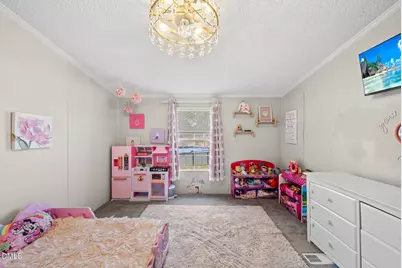 4703 Trinity Lane, Rougemont, NC 27572 - Photo 29