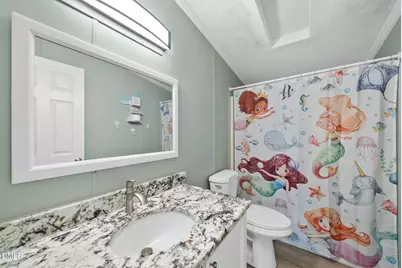 4703 Trinity Lane, Rougemont, NC 27572 - Photo 27