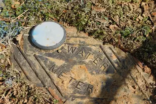 906 Price Ave, Durham, NC 27701 - Photo 23