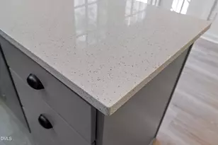 4705 Blue Bird Ct, Raleigh, NC 27606 - Photo 15