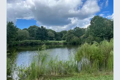 444 Crossvine Close, Pittsboro, NC 27312 - Photo 59