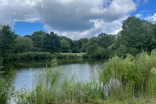 444 Crossvine Close, Pittsboro, NC 27312 - Photo 59