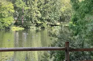 444 Crossvine Close, Pittsboro, NC 27312 - Photo 57