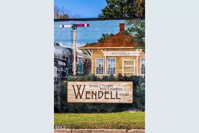 319 Sweetbay Tree Drive, Wendell, NC 27591 - Photo 39