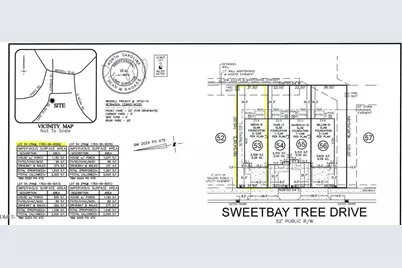 319 Sweetbay Tree Drive, Wendell, NC 27591 - Photo 5