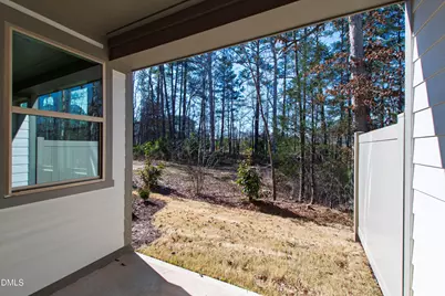 982 Double Helix Road, Apex, NC 27523 - Photo 45