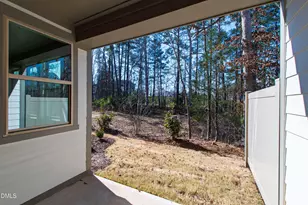 982 Double Helix Rd, Apex, NC 27523 - Photo 45