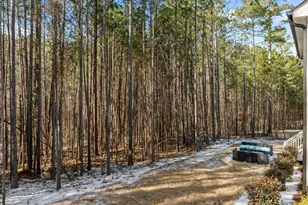 55 Bob White, Pittsboro, NC 27312 - Photo 43