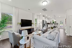 264 Camel Crazies Pl, Lillington, NC 27546 - Photo 7