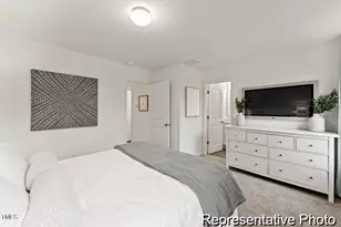 264 Camel Crazies Pl, Lillington, NC 27546 - Photo 13