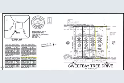 325 Sweetbay Tree Drive, Wendell, NC 27591 - Photo 5