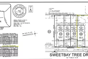 325 Sweetbay Tree Dr, Wendell, NC 27591 - Photo 33