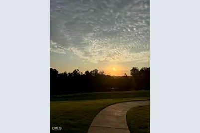 605 Open Air Lane, Hillsborough, NC 27278 - Photo 29