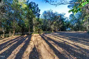 705 Wilsons Mills Rd, Smithfield, NC 27577 - Photo 29