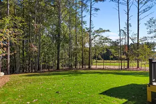 35 Broadleaf Ln, Youngsville, NC 27596 - Photo 41