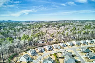 1227 Birchbark Rd, Durham, NC 27705 - Photo 71