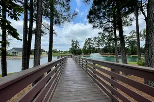 2434 Whitewing Ln, Wendell, NC 27591 - Photo 19