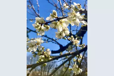 221 Whitfield Street, Enfield, NC 27823 - Photo 47