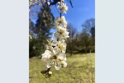 221 Whitfield Street, Enfield, NC 27823 - Photo 49