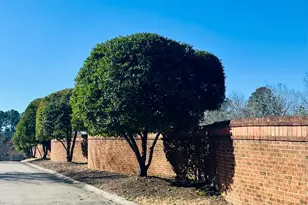 38 Innisfree Dr, Durham, NC 27707 - Photo 3