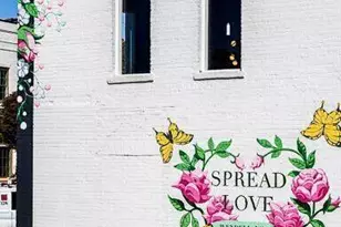 321 Sweetbay Tree Dr, Wendell, NC 27591 - Photo 37