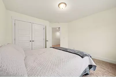 341 Marbella Grove Court, Durham, NC 27713 - Photo 19