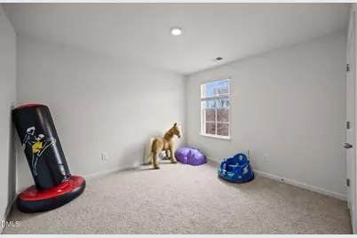 2527 Lily Drive, Haw River, NC 27258 - Photo 23