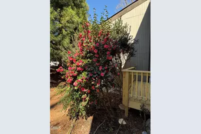 4231 American Drive # C, Durham, NC 27705 - Photo 3