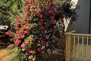 4231 American Dr, Durham, NC 27705 - Photo 3