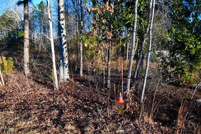 3840 Steel Bridge Road, Sanford, NC 27330 - Photo 7