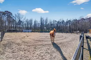 794 Cobb Rd, Benson, NC 27504 - Photo 73