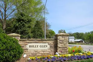 501 Avent Meadows Ln, Holly Springs, NC 27540 - Photo 29