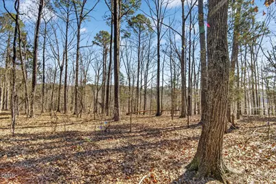 0 Globe Road, Morrisville, NC 27560 - Photo 3