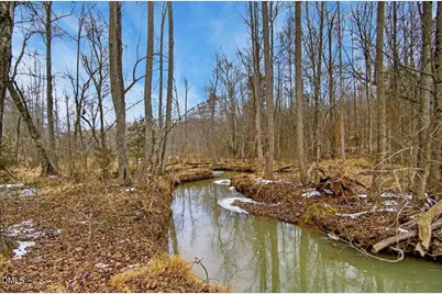 0 Mace Road, Mebane, NC 27302 - Photo 23