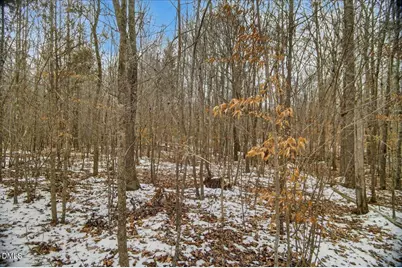 0 Mace Road, Mebane, NC 27302 - Photo 19