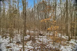 0 Mace Rd, Mebane, NC 27302 - Photo 19