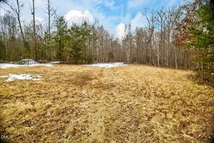 0 Mace Rd, Mebane, NC 27302 - Photo 25