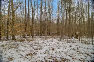 0 Mace Rd, Mebane, NC 27302 - Photo 17