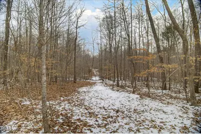 0 Mace Road, Mebane, NC 27302 - Photo 27